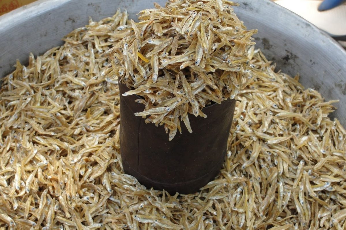 கருவாடு