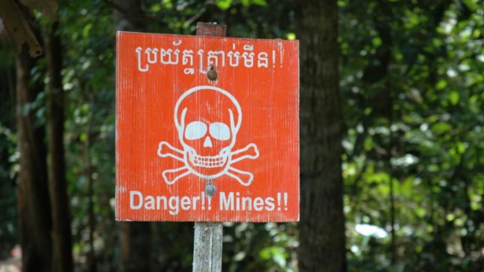 "110 million unexploded landmines buried..!" Today is Mine Awareness