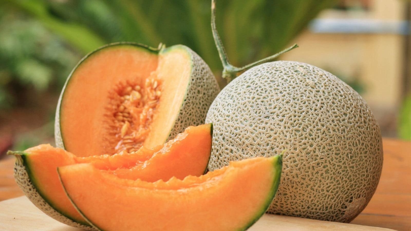 கோடைக்காலத்தில் முலாம் பழம் அவசியம் சாப்பிடுங்க.. ஏன் தெரியுமா..?