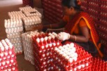 முட்டை இவ்வளவு விலைக்கு விற்பனையாகிறதா?