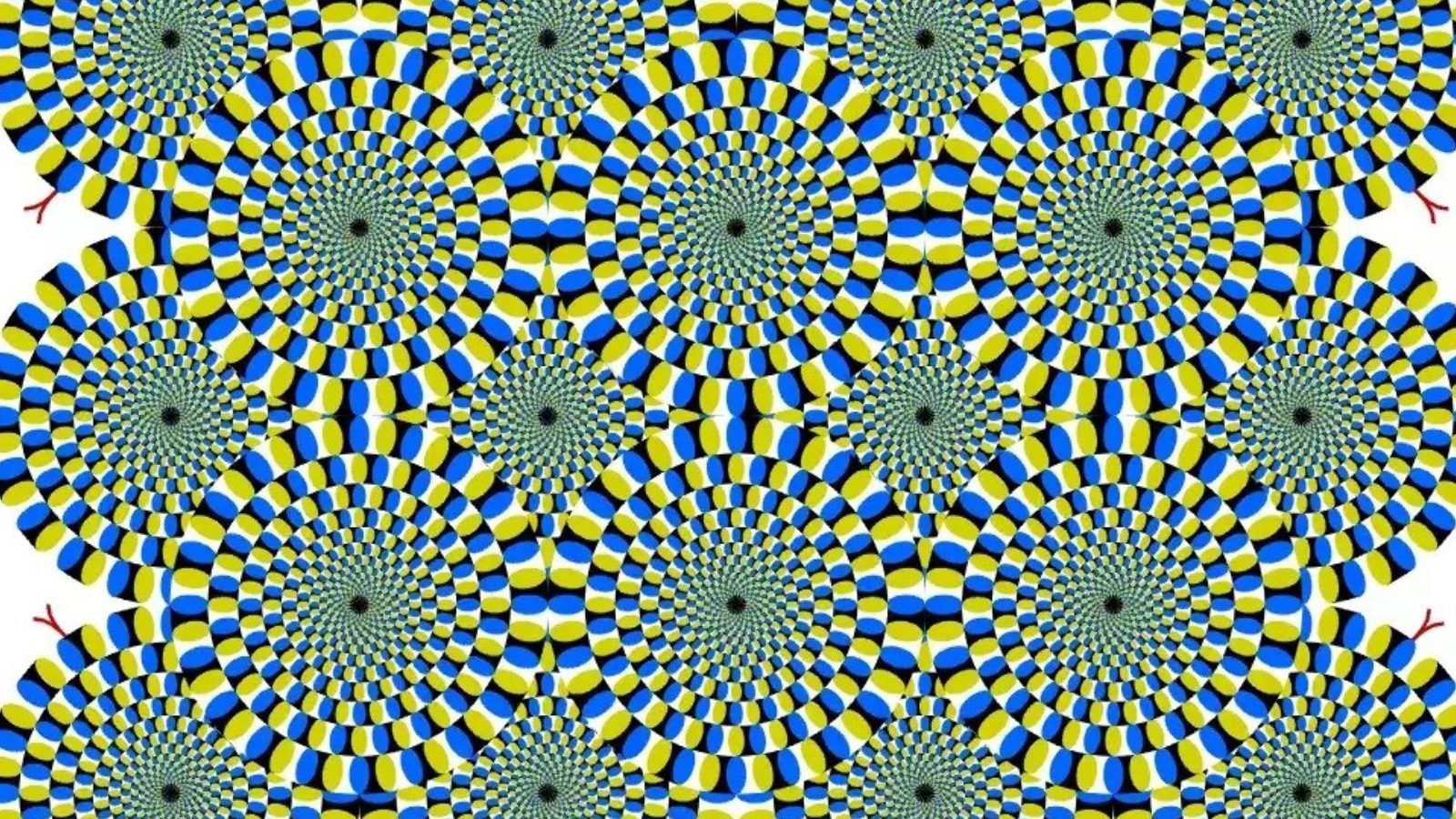 சுழலும் சக்கரத்துக்குள் பாம்பு தெரிகிறதா? மனநிலையை புட்டுபுட்டு வைக்கும் ஒரு சோதனை!