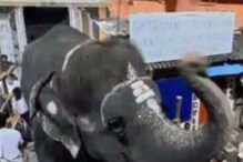 பவானி யானைக்கு மணிமண்டபம் இல்லை.. குமுறும் மக்கள்!