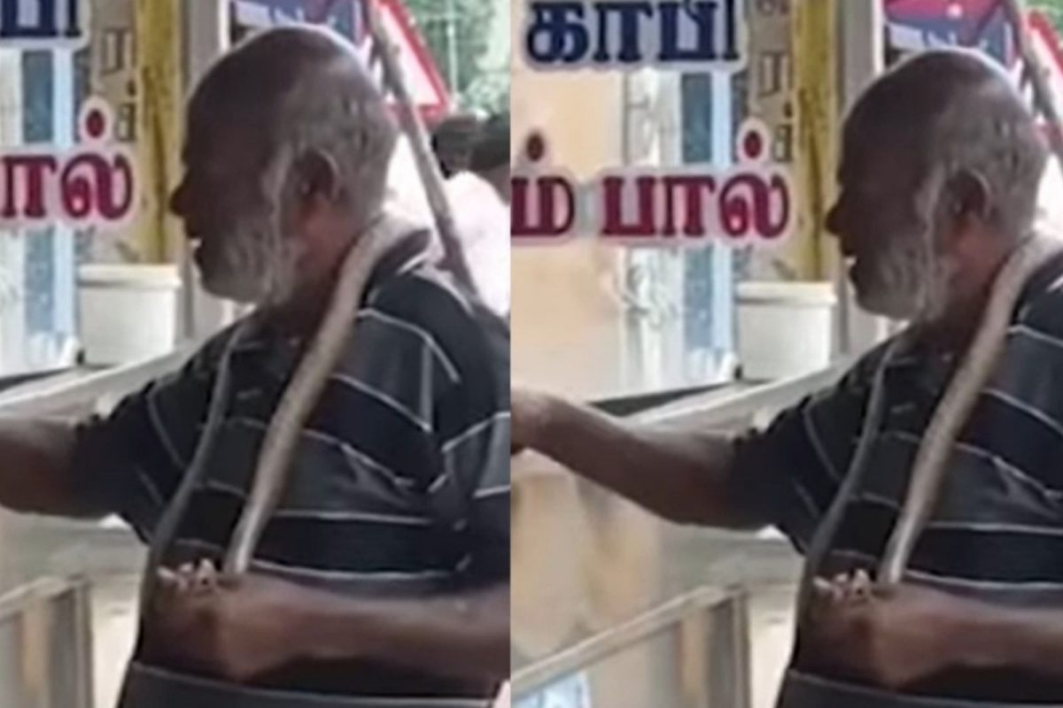 பாம்புடன் போதை ஆசாமி