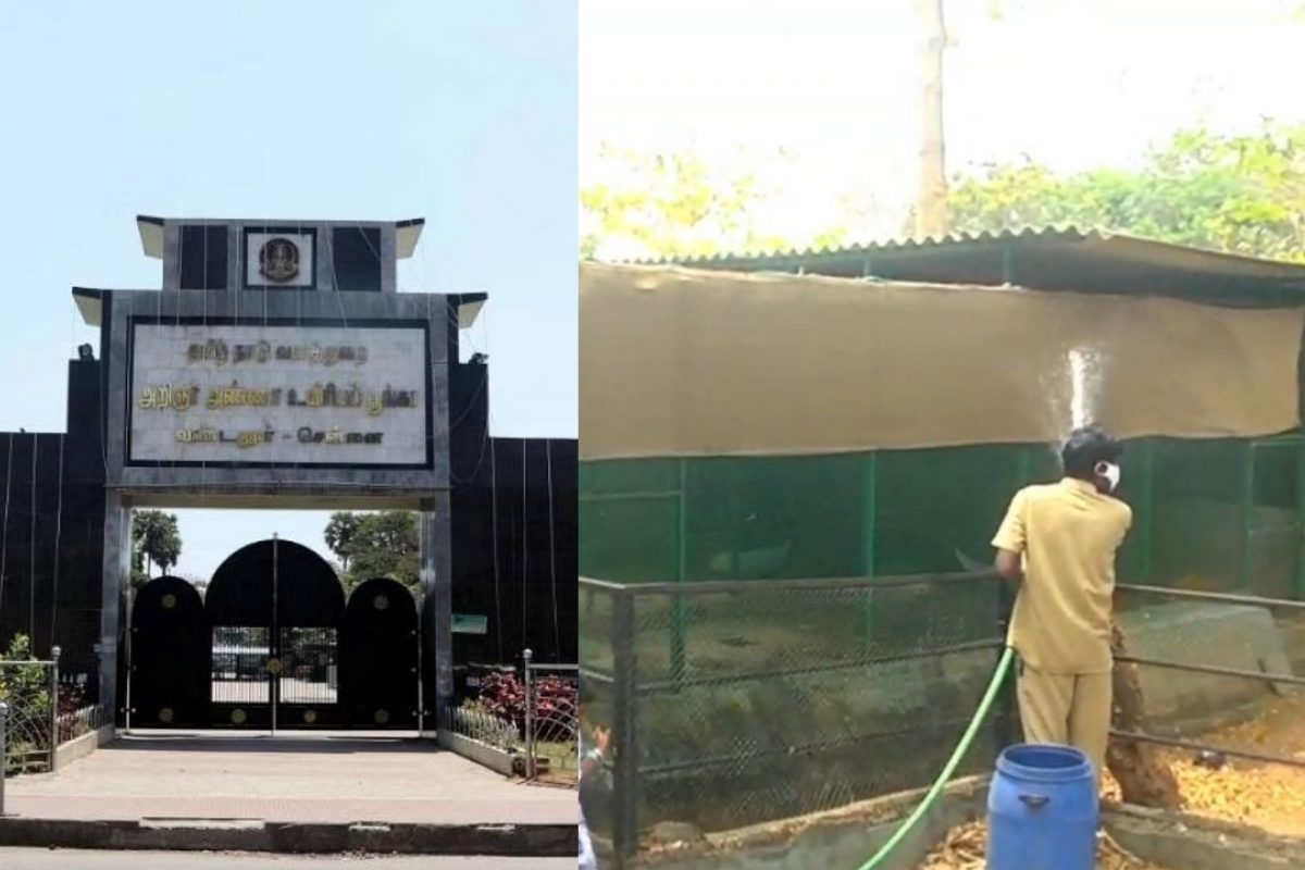 வண்டலூர்