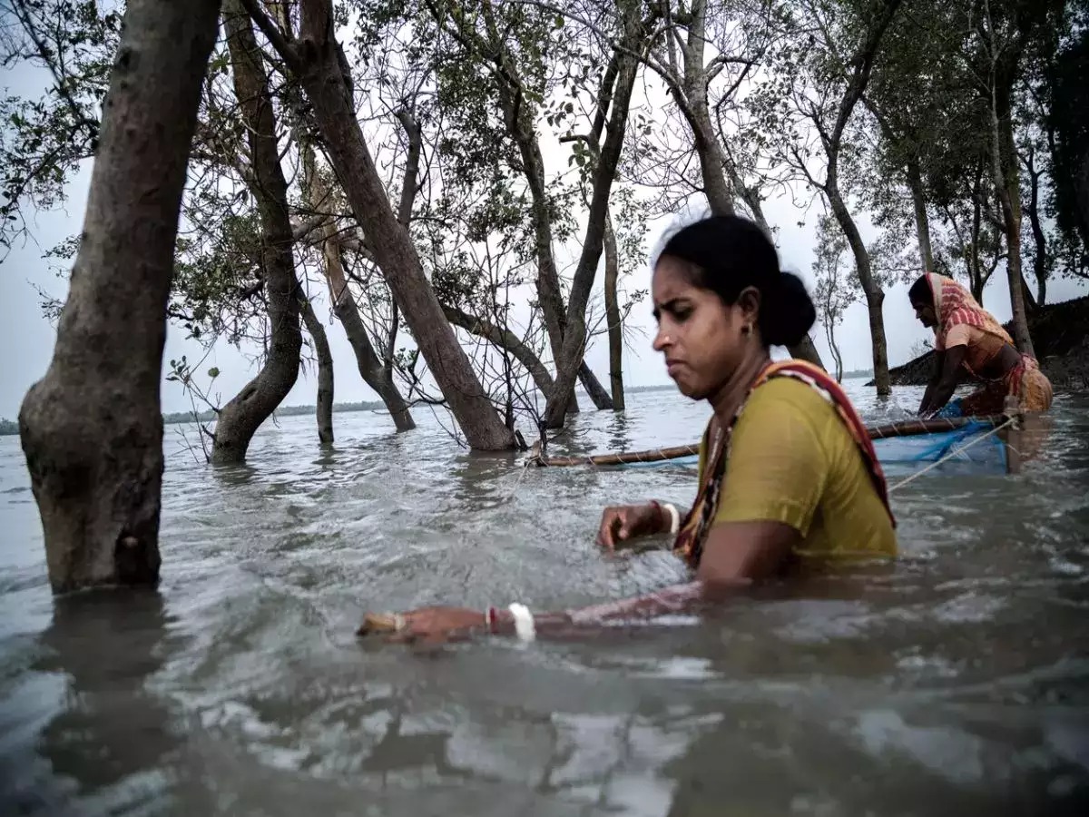  ,[object Object],சுந்தரவனக்காடுகளின் தற்போதை நிலைக்குறித்து உள்ளூர்வாசியான அக்பர் காசி தெரிவிக்கையில், குடியிருப்பு பகுதிக்குள் வன விலங்குகள் நுழையாமல் இருக்க வேண்டும் என்று மின்வேலிகள் அமைக்கப்பட்டன. ஆனால் இவற்றில் சிக்கி பல மான்கள் மற்றும் புலிகள் அடிக்கடி உயிரிழப்பதையடுத்து இந்த வேலிகள் அனைத்தும் அடியோடு பிடுங்கி எடுத்துவிட்டதாக வேதனையுடன் தெரிவிக்கிறார். இதன் காரணமாக பல முறை வன விலங்குகள் குடியிருப்பு பகுதிக்குள் நுழைவதால் பலர் உயிரிழந்துள்ளனர். இதனால் இங்குள்ள மக்கள் அச்சத்தில் தான் வாழ்ந்து வருவதாக தெரிவிக்கின்றனர்.