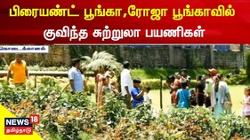 கொடைக்கானல் பிரையண்ட் பூங்கா...மலர்களை பார்க்க குவிந்த சுற்றுலா பயணிகள்