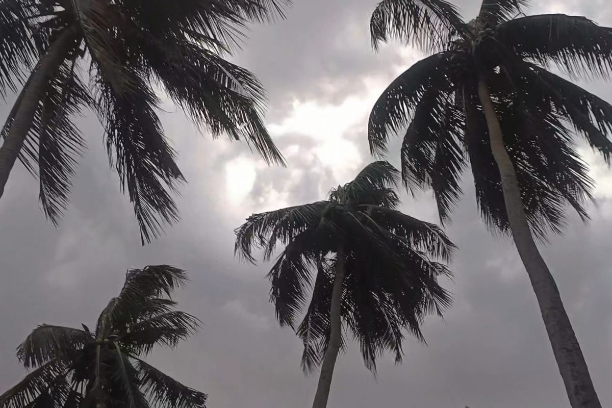 செங்கல்பட்டில் திடீர் மழை.. பொதுமக்கள் குஷி!