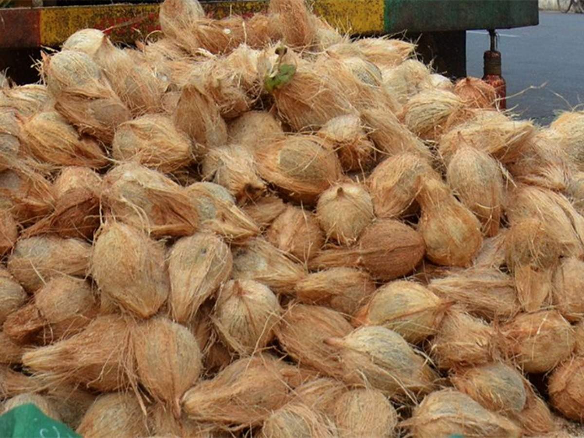 ,[object Object], பணத் தட்டுப்பாட்டிலிருந்து விடுபட வேண்டுமானால், தேங்காய்த் துருவல், தாமரைப்பூ, தயிர், வெள்ளைத் துணி, வெள்ளை இனிப்பு ஆகியவற்றை எடுத்துக் கொள்ளுங்கள். செல்வத்தின் கடவுளான லக்ஷ்மி தேவிக்கு அதை அர்ப்பணித்து, பின்னர் இந்த தேங்காயை சிவப்பு நிற துணியில் கட்டி யாரும் பார்க்காத இடத்தில் வைக்கவும். இவ்வாறு செய்வதன் மூலம் பணம் தொடர்பான அனைத்து வகையான பிரச்சனைகளுக்கும் தீரும்.