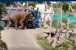 அரிசி கொம்பன் அச்சுறுத்தல் :  கம்பத்தில் 144 தடை உத்தரவு