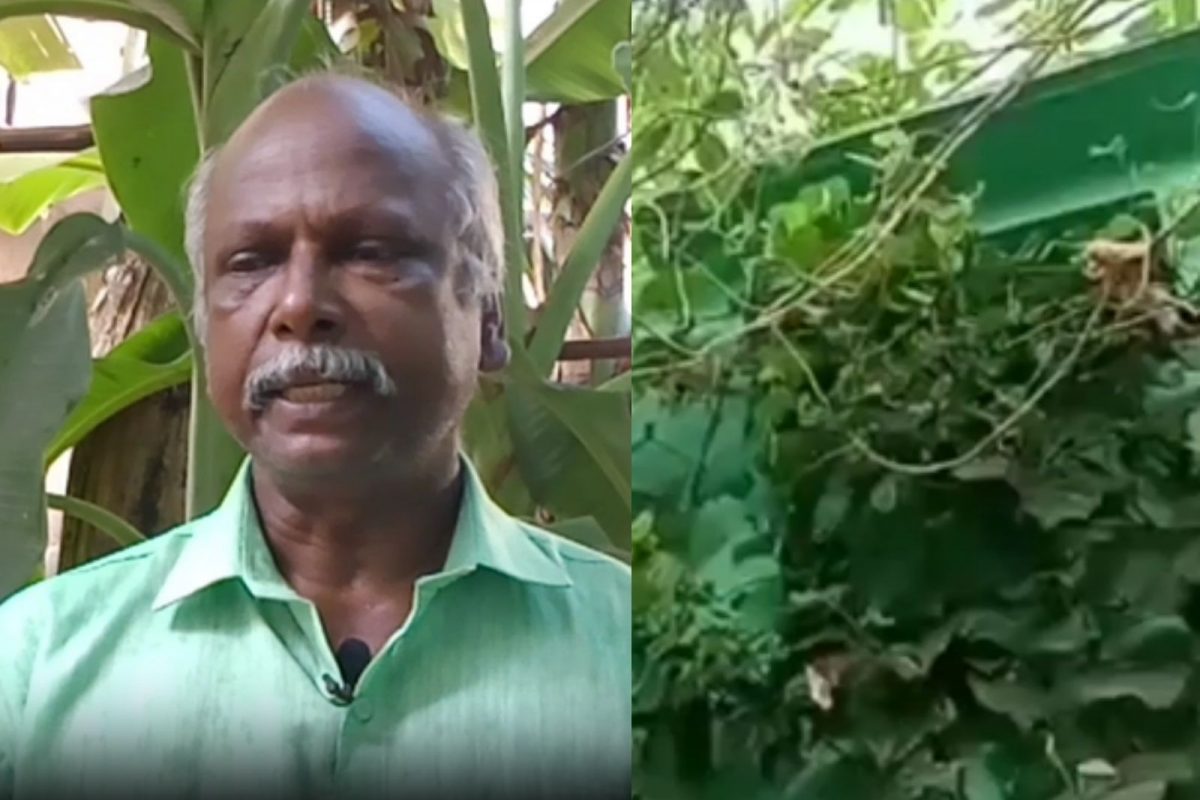 தமிழ்நெஞ்சன்