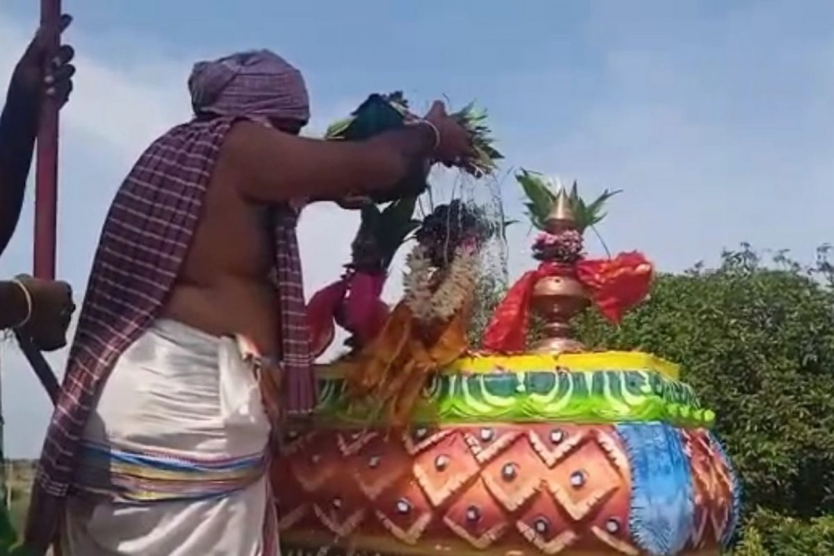 நாட்டாணி