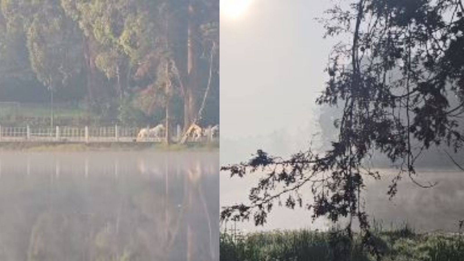 ம‌ழைக்குப்பின் ர‌ம்மிய‌மாக‌ காட்சிய‌ளிக்கும் கொடைக்கான‌ல்..! மிஸ் பண்ணிடாதீங்க