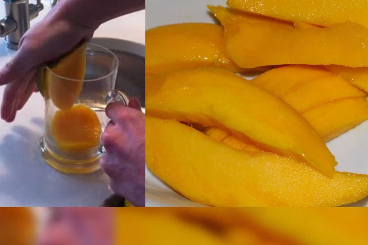 மாம்பழம்