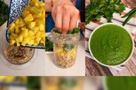 கொத்தமல்லி- மாங்காய் சட்னி செஞ்சிருக்கீங்களா..? ரெசிபி இதோ...