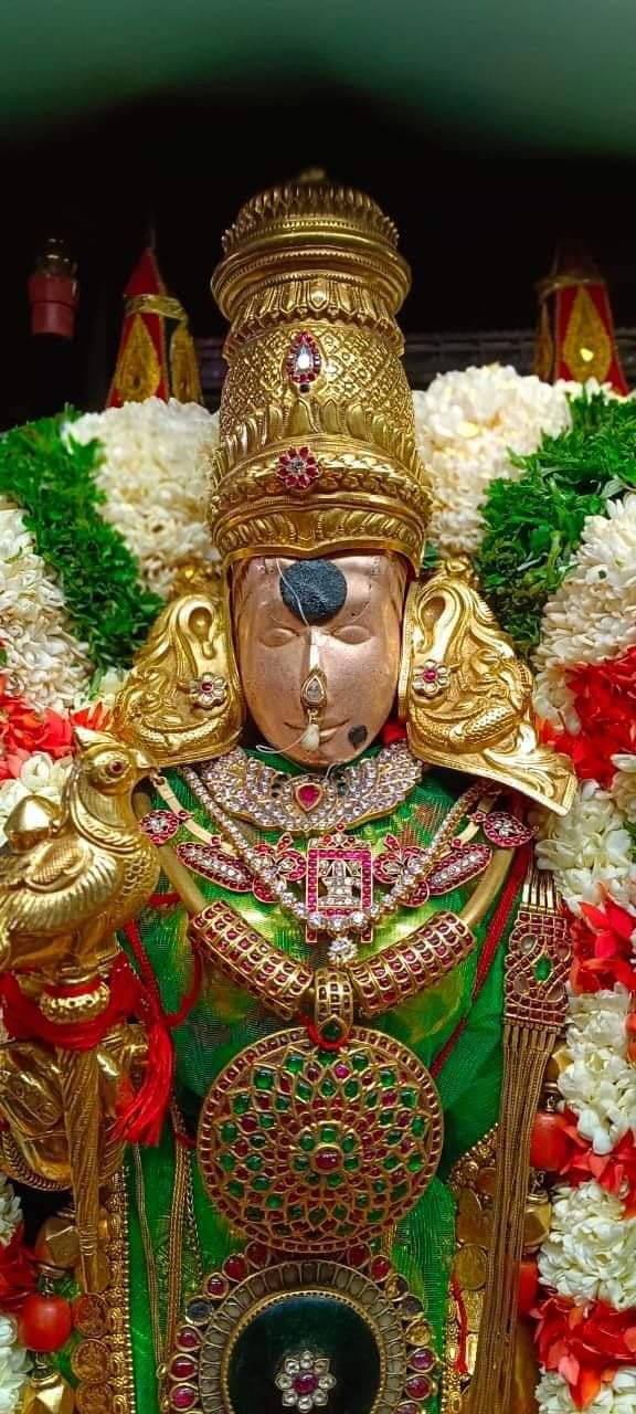  மதுரை மீனாட்சி சுந்தரேஸ்வரர் திருக்கல்யாணம் புகைப்படங்கள்