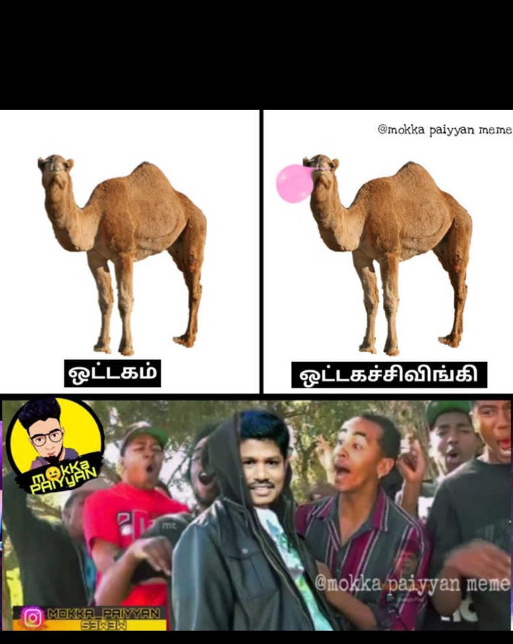  சமூக வலைதளங்களில் வைரலாகும் மீம்ஸ்