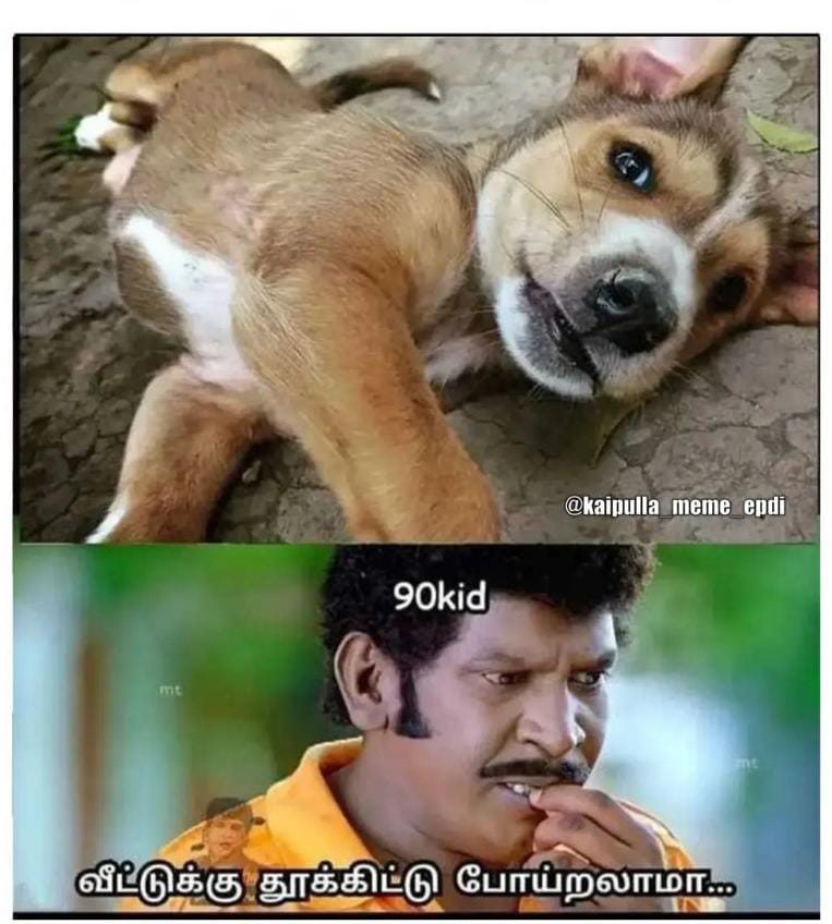  சமூக வலைதளங்களில் வைரலாகும் மீம்ஸ்