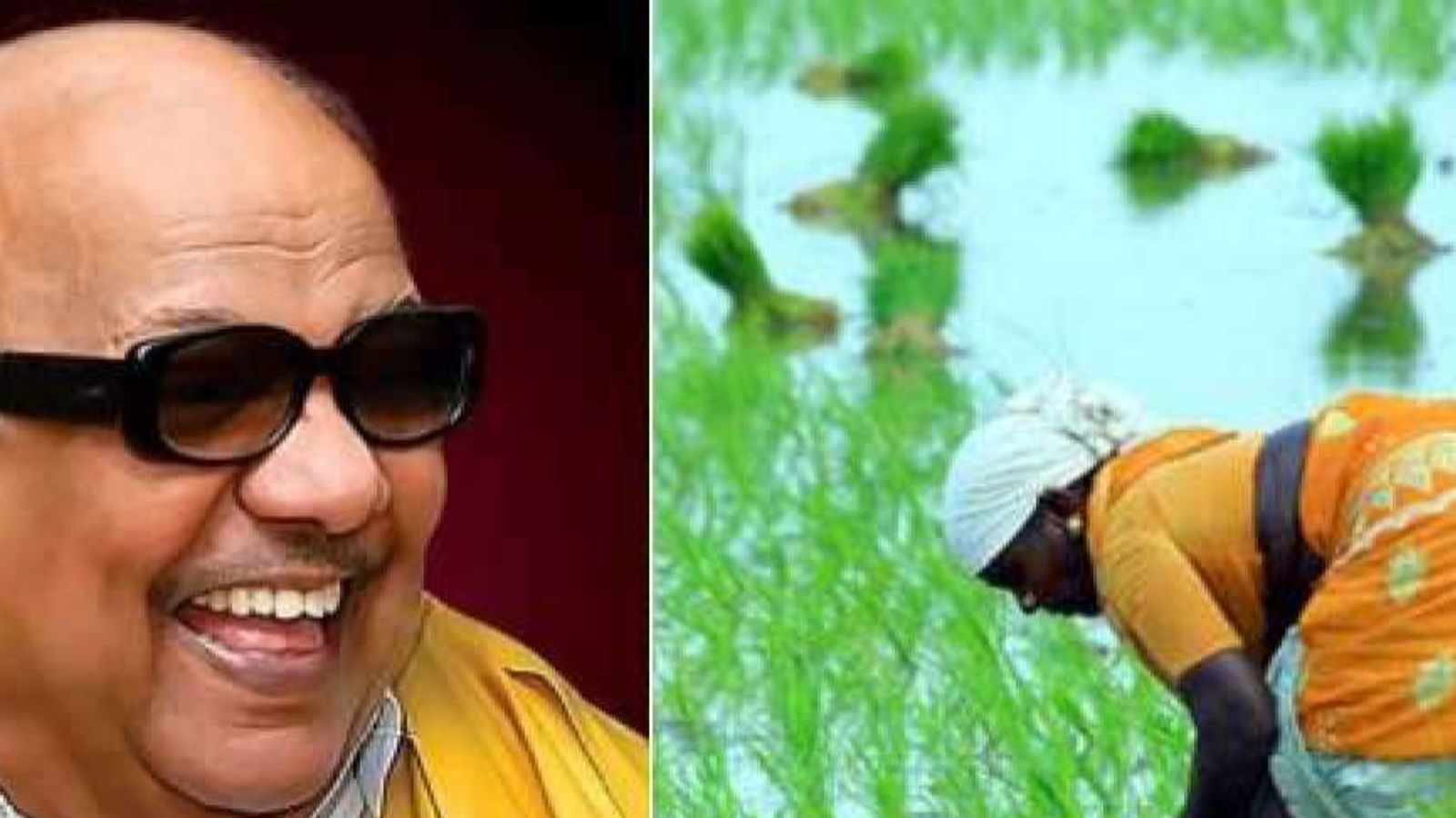 கலைஞரின் அனைத்து கிராம ஒருங்கிணைந்த வேளாண் வளர்ச்சி திட்டத்தில் பயன் பெறுவது எப்படி? 