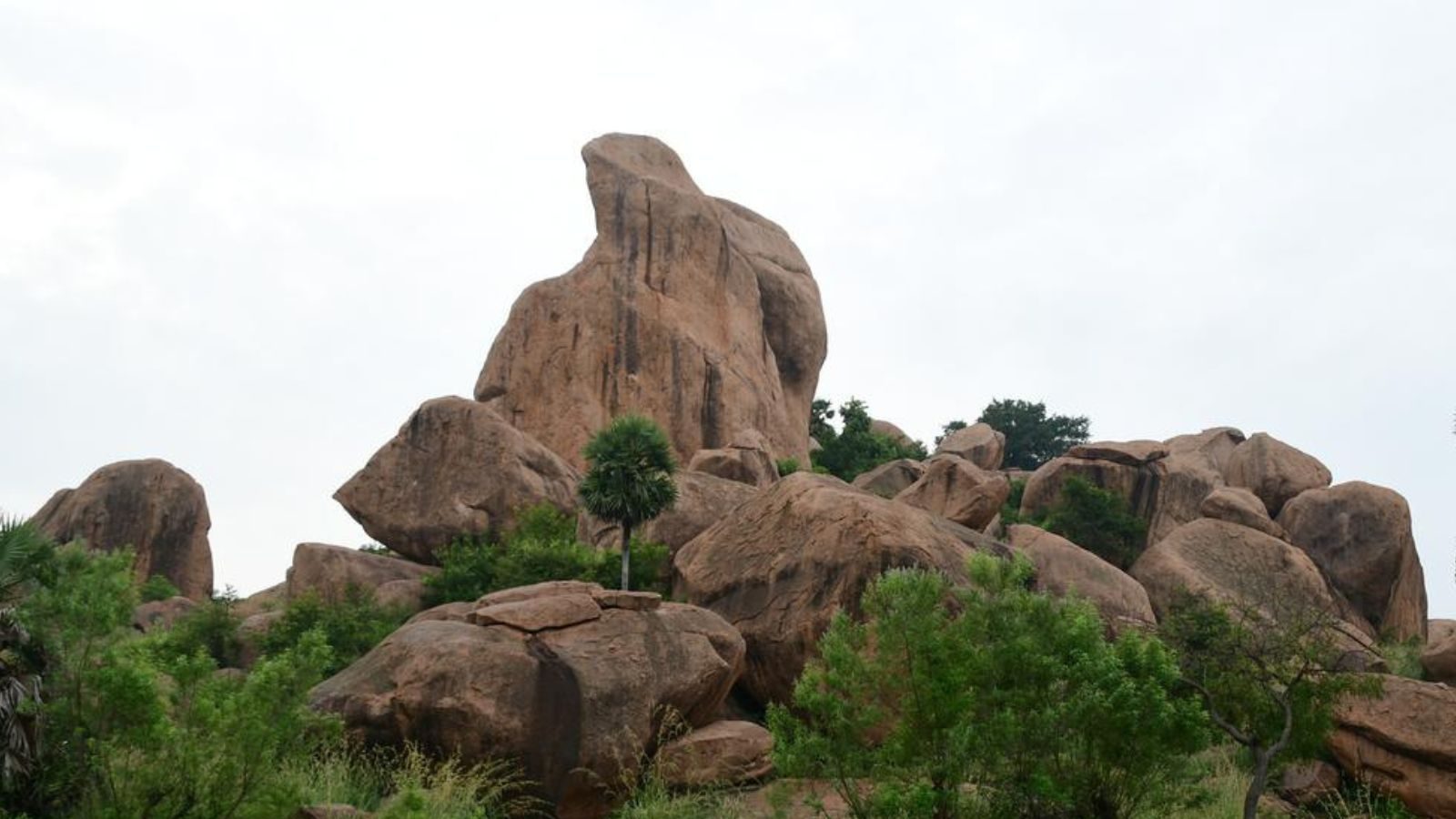 COMPETITIVE EXAMS : போட்டி தேர்வுகளுக்கான நவம்பர் மாத முக்கிய நடப்பு நிகழ்வுகளின் தொகுப்பு- 4 !