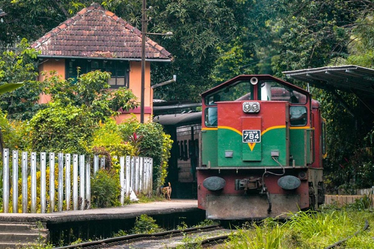  ஐரோப்பியர்கள் அவர்கள் விளைவித்த தேயிலை மற்றும் காபியை அவர்கள் நாட்டிற்கு கடல் வழியாக எடுத்துச்சென்றனர். மலைகளில் இருந்து கடற்கரைக்கு எடுத்து வரும் வாகனமாக ரயில்கள் பயன்படுத்தப்பட்டன. அப்படி 1867 இல் கொழும்பில் இருந்து கண்டி வரை இந்த ரயில் வழி அமைக்கப்பட்டது. பின்னர்  இது 1874 இல் நாவலப்பிட்டி வரையிலும், 1885 இல் நானு ஓயா வரையிலும், 1894 இல் பண்டாரவளை வரையிலும், இறுதியாக 1924 இல் பதுளை வரையிலும் நீடிக்கப்பட்டது.