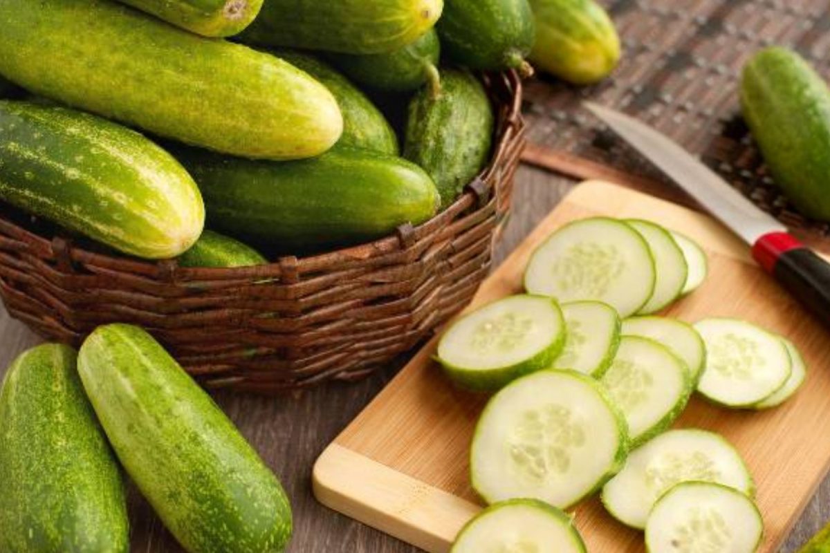 வெள்ளரிக்காயை இப்படி சாப்பிடுங்க... 15 நாட்களில் 7 கிலோ வரை குறையுமாம்