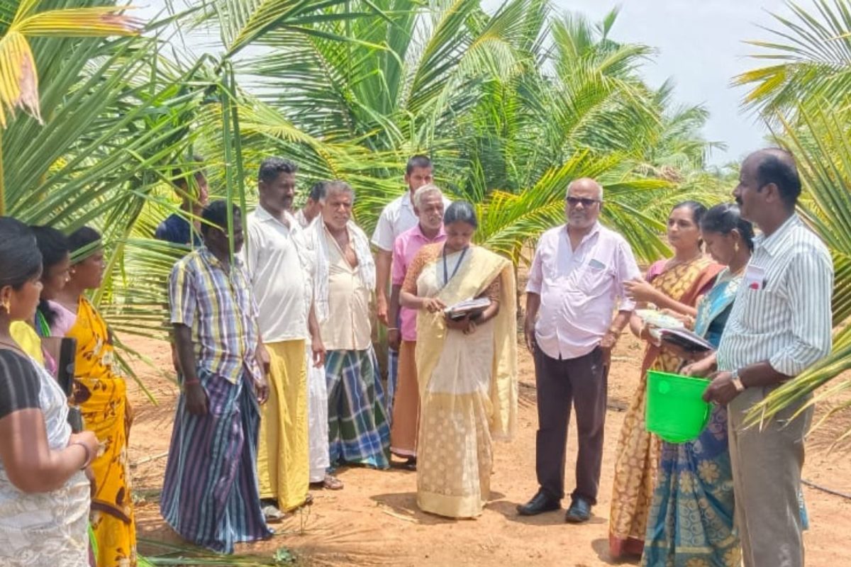 விவசாயிகளுக்கு விழிப்புணர்வு
