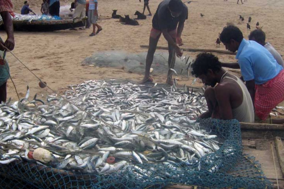 மாதிரி படம்