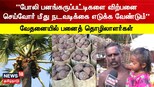 போலி பனங்கருப்பட்டிகளை விற்பனை - தொழிலாளர்கள் வேதனை..