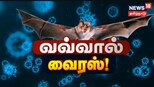கொரோனாவை விடக் கொடூரமானதா?- சீனாவில் வவ்வால் வைரஸ் உருவாக வாய்ப்பு...