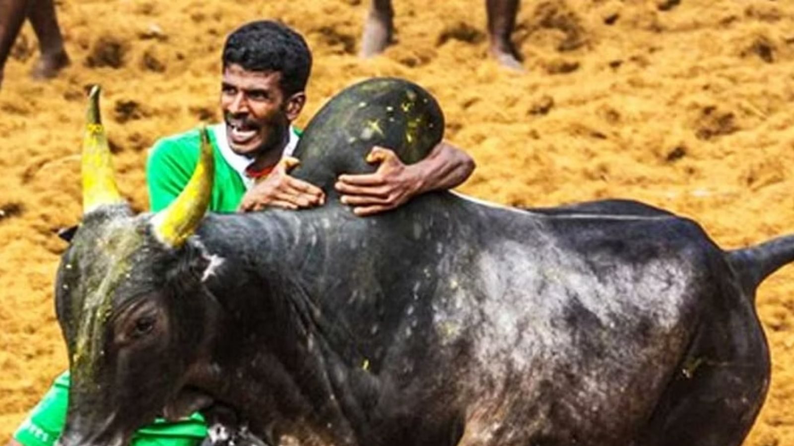 ஜல்லிக்கட்டுக்கு தடையில்லை.. உச்சநீதிமன்றம் அதிரடி தீர்ப்பு!