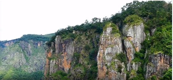  மலைகளின் இளவரசி என்று அழைக்கப்படும் கொடைக்கானலில் மே மாத‌ ஆர‌ம்ப‌ம் முத‌லே சீச‌ன் க‌ளை க‌ட்ட‌ துவ‌ங்கியுள்ள‌து.