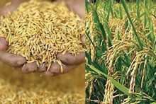 காஞ்சியில் விவசாயிகள் நலன் காக்கும் நாள் கூட்டம்.. நலத்திட்ட உதவிகளை வழங்கிய கலெக்டர்..
