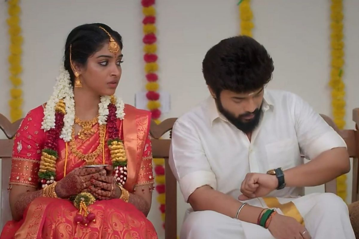 கார்த்திகை தீபம் சீரியல்