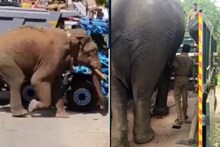 அரிசிக்கொம்பனை பிடிக்க புறப்பட்ட அரிசிராஜா - லாரி மூலம் தேனிக்கு அனுப்பு வைப்பு