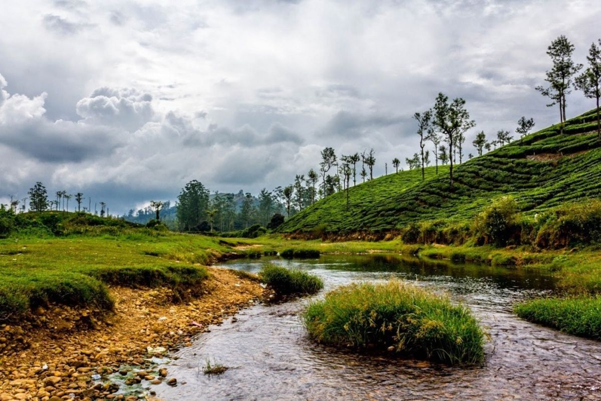  கோவை , திருப்பூர் , பொள்ளாச்சி பகுதிகளில் இருக்கும் மக்களுக்கு ரொம்ப பக்கத்துலயே குளிர்ச்சியான சூழலுடன் இந்த ஸ்பாட் அமைந்திருக்கிறது. கோவையில் இருந்து 100 கிமீ தூரத்திலும் பொள்ளாச்சியில் இருந்து 60 கிமீ தொலைவிலும் கூளங்கள் ஆறு என்ற இடம் உள்ளது.வால்பாறை பேருந்து நிலையத்தில் இருந்து 2.5 கி.மீ தொலைவில் கூழாங்கல் ரிவர் வியூ பாயிண்ட் மற்றும் கூழாங்கள் ஆறு அமைந்துள்ளது.இது வால்பாறையில் உள்ள மிகவும் பிரபலமான சுற்றுலாத் தலங்களில் ஒன்றாகும்.
