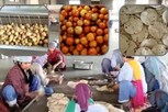 ரூ.200 கோடி செலவில் சமையல் அறையா? ஆச்சரியம் தரும் வீடியோ!