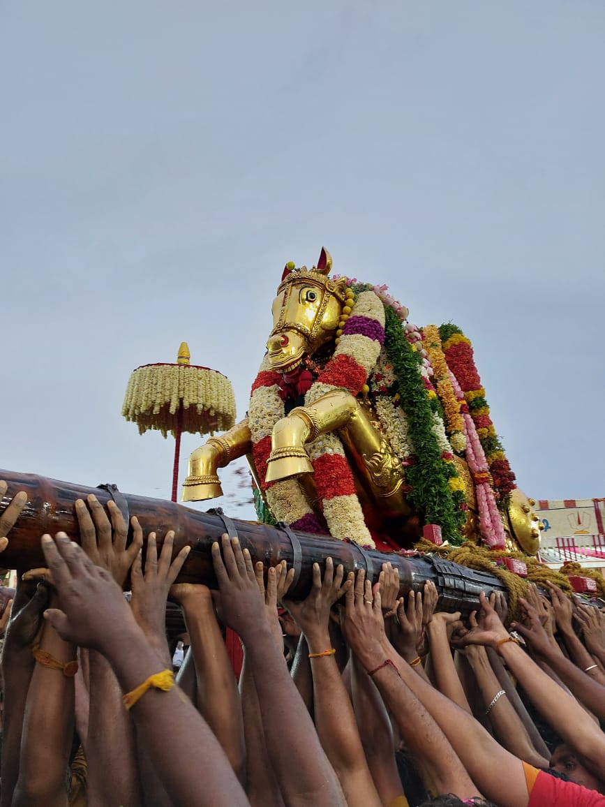  அதன்பின் திருக்கண்களால் அருள்பாலித்தபடியே ஆழ்வார்புரம் வைகை ஆற்றை நோக்கி சென்றார். கள்ளழகரை வரவேற்பதற்காக வெள்ளிக்குதிரை வாகனத்தில் அதிகாலை 5.15 மணிக்கு மண்டகப்படியில் வீரராகவ பெருமாள் எழுந்தருளினார். அப்போது, ஆழ்வார்புரம், வடகரை பகுதியில் தங்கக்குதிரை வாகனத்தில் எழுந்தருளி கள்ளழகர் பவனி வந்தார். மண்டகப்படியில் இருந்து ஆற்று முகத்துவாரத்திற்கு கள்ளழகர் வந்ததும் வீரராகவப் பெருமாள் மூன்று முறை முன்னும் பின்னும் சென்று அவரை வரவேற்றார்.