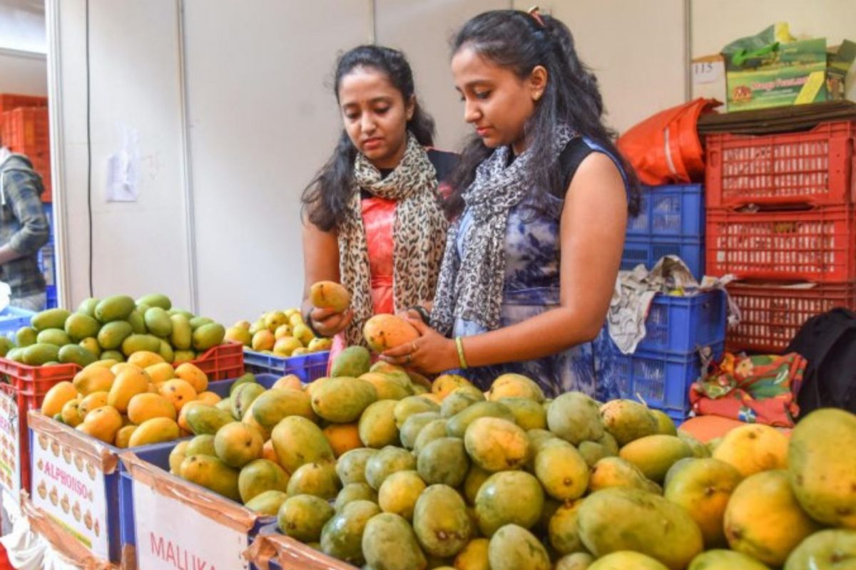 இரசாயனம் பயன்படுத்தி பழுக்க வைத்த மாம்பழத்தை எப்படி கண்டறிவது..?