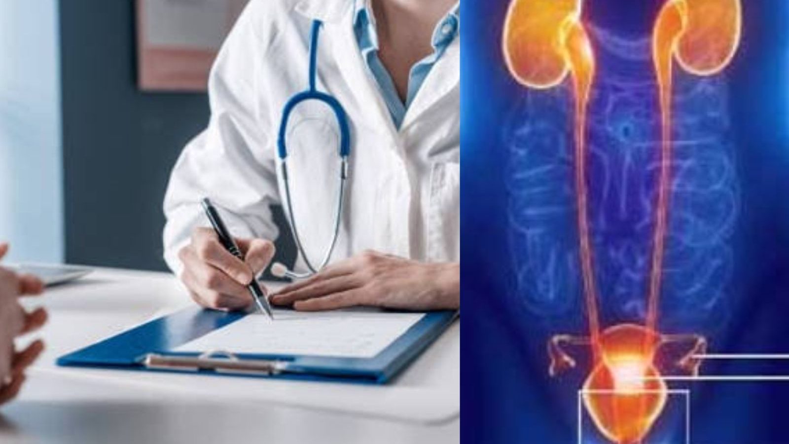 பெண்களே இந்த பிரச்சனை உங்களுக்கு இருந்தால் உஷாரா இருங்க..? எச்சரிக்கை விடுக்கும் நெல்லை மருத்துவர்..!