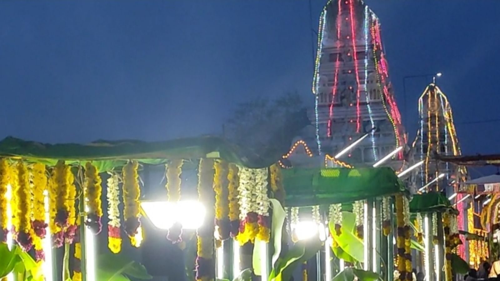 நெல்லை திரிபுராந்தீஸ்வரர் கோயிலில் 63 நாயன்மார்கள் வீதி உலா!