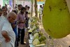 பண்ருட்டியில் களைகட்டிய பலாப்பழ திருவிழா!
