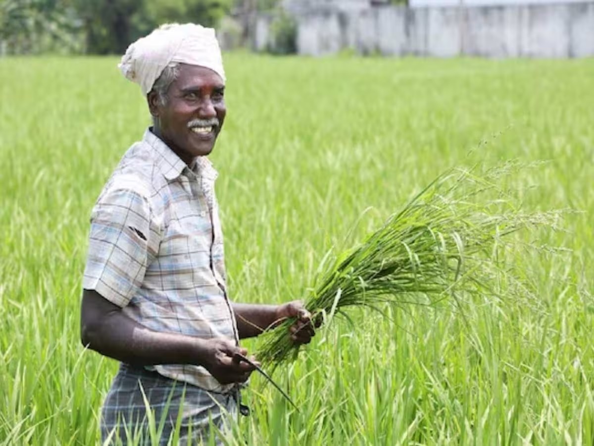  இதுகுறித்த விளக்கத்தை, மத்திய அரசானது தெளிவாக தந்துள்ளது. அதன்படி, பிரதம மந்திரி கிசான் யோஜனா திட்டத்தின் பலனானது ஒருவருக்கு மட்டும் வழக்கப்படவில்லை. அதாவது, இந்த திட்டத்தின் பலன் முழு குடும்பத்திற்கும் வழங்கப்பட்டுள்ளது. எனவே, ஒரு குடும்பத்தில் உள்ள கணவன்-மனைவி இருவரும் ஊக்கத்தொகையை பெற பிஎம் கிசான் யோஜனா திட்டத்தில் பதிவு செய்ய வேண்டும்.