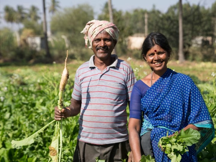  ஆனால், இந்த திட்டத்திற்கு இருவரும் விண்ணப்பிக்கும் போது, யாராவது ஒருவரது விண்ணப்பம் மட்டுமே அங்கீகரிக்கப்படும். ஒருவேளை, விண்ணப்பித்த இருவருக்கும் ஊக்கத்தொகை வந்துவிட்டால், யாராவது ஒருவர் அந்த தொகையை திருப்பி கொடுக்க வேண்டி இருக்கும்.எனவே, இந்த திட்டத்தில் குடும்பத்தில் உள்ள யாரேனும் ஒருவர் தான் பயன்படுத்த முடியும், ஒருவருக்கு மட்டும் தான் பொருந்தும் என்பது குறிப்பிடத்தக்கது.