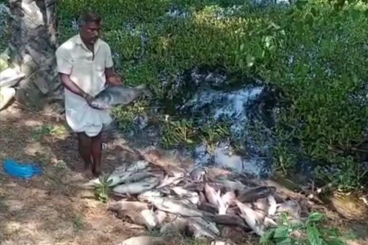 ஏரியில்
