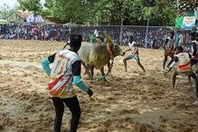 திருவரங்குளம் பிடாரியம்மன் கோயில் திருவிழா.. உற்சாகமாக நடைபெற்ற வடமாடு மஞ்சுவிரட்டு போட்டி..
