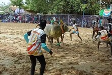 திருவரங்குளம் பிடாரியம்மன் கோயில் திருவிழா.. உற்சாகமாக நடைபெற்ற வடமாடு மஞ்சுவிரட்டு போட்டி..