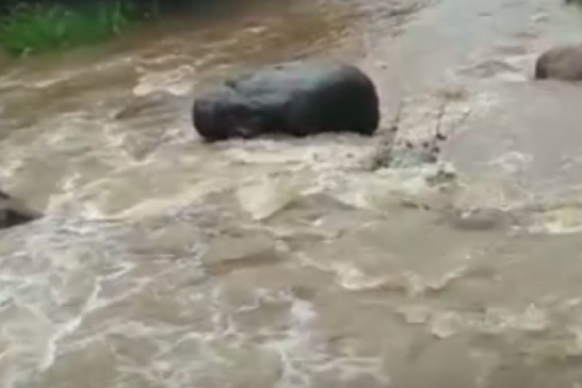 புளியஞ்சோலை