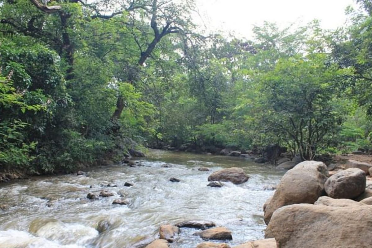 புளியஞ்சோலையில் வெள்ளப்பெருக்கு; சுற்றுலா பயணிகள் குளிக்க தடை!
