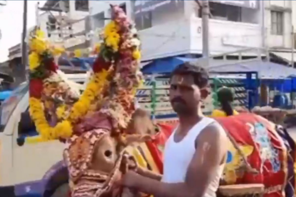 பூம்பூம்