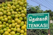 அடேங்கப்பா.. புளியங்குடி எலுமிச்சை மார்க்கெட்டில் இவ்வளவு வேலை நடக்குதா..